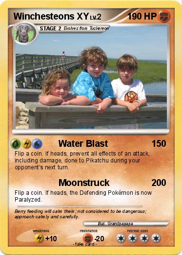 Pokemon Winchesteons XY
