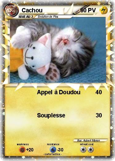 Pokemon Cachou