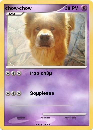 Pokemon chow-chow