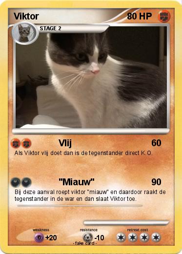 Pokemon Viktor