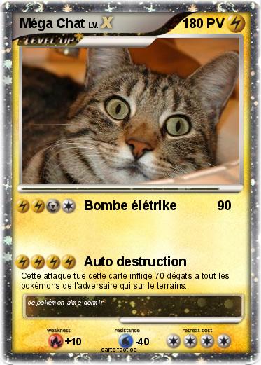 Pokemon Méga Chat