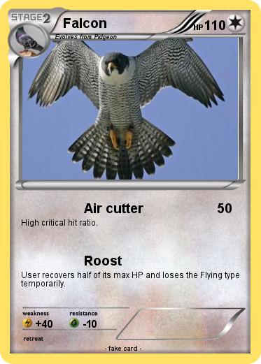 Pokemon Falcon