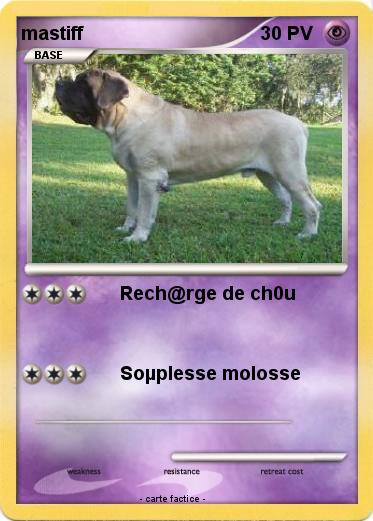 Pokemon mastiff