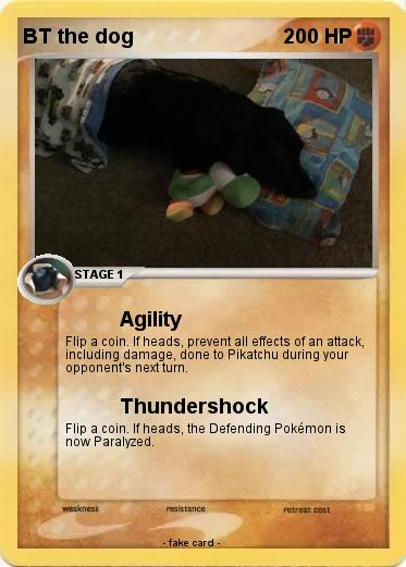 Pokemon BT the dog