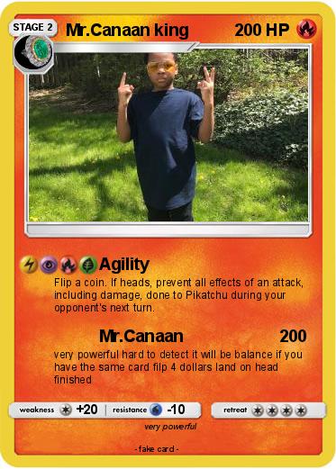 Pokemon Mr.Canaan king