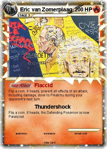 Pokemon Eric van Zomerplaag