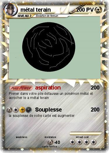 Pokemon métal terain
