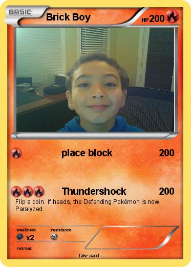 Pokemon Brick Boy