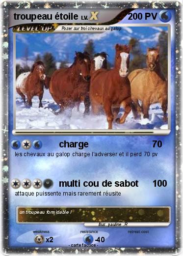 Pokemon troupeau étoile