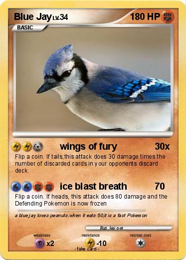 Pokemon Blue Jay