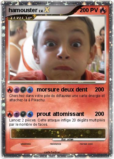 Pokemon hamouster