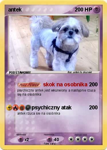 Pokemon antek