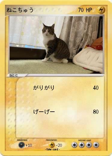 Pokemon ねこちゅう