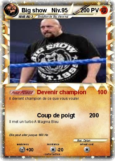 Pokemon Big show   Niv.95