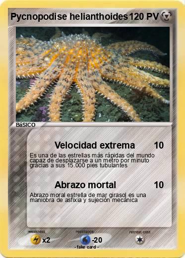 Pokemon Pycnopodise helianthoides