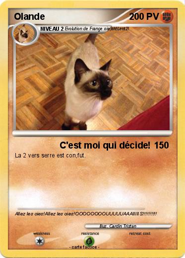 Pokemon Olande