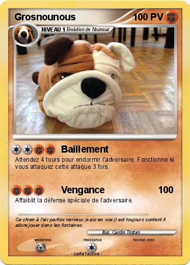 Pokemon Grosnounous