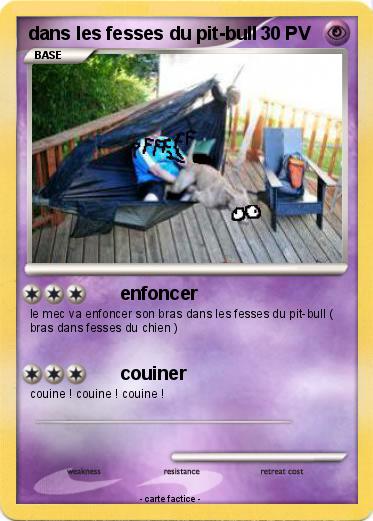 Pokemon dans les fesses du pit-bull