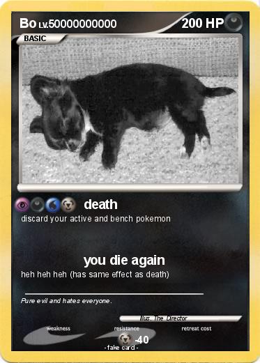 Pokemon Bo