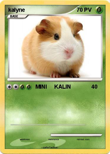 Pokemon kalyne