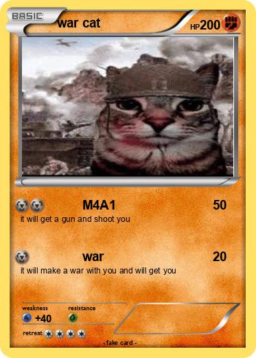 Pokemon war cat