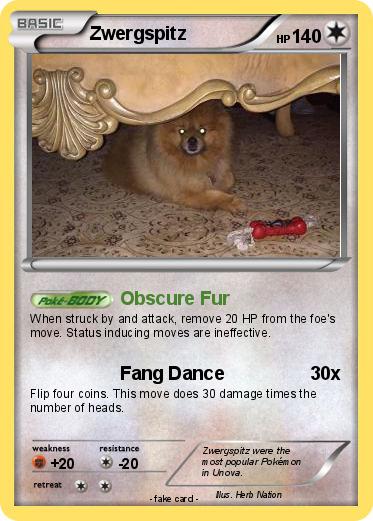 Pokemon Zwergspitz