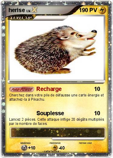 Pokemon herise