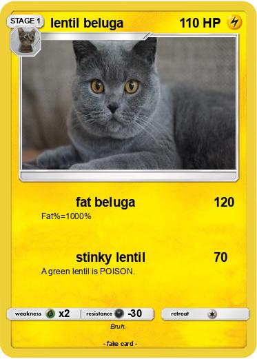 Pokemon lentil beluga