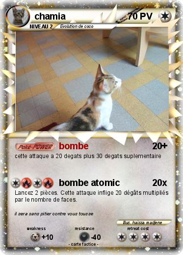 Pokemon chamia