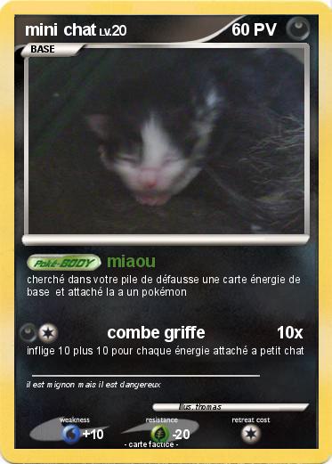 Pokemon mini chat
