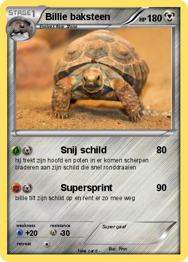 Pokemon Billie baksteen