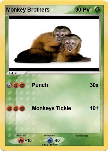 Pokemon Monkey Brothers