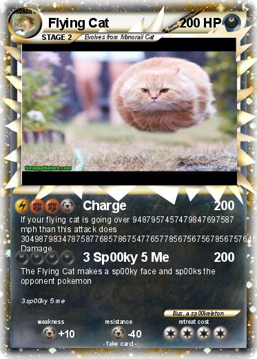 Pokemon Flying Cat