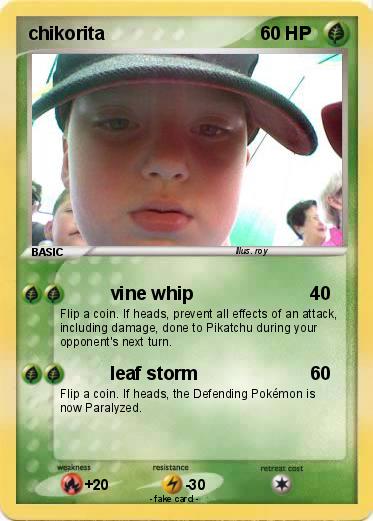 Pokemon chikorita