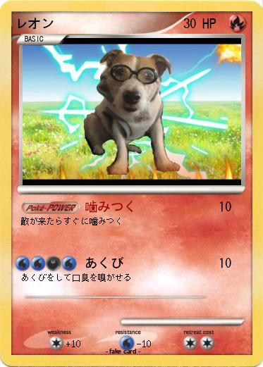 Pokemon レオン