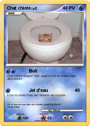 Pokemon Chat chiote