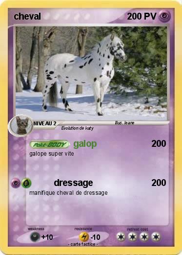 Pokemon cheval