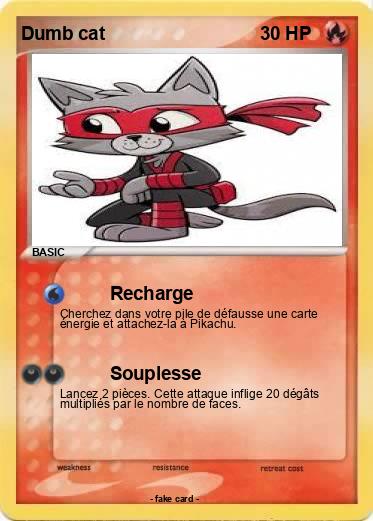 Pokemon Dumb cat