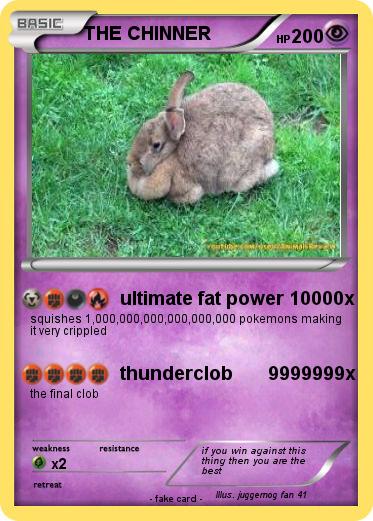 Pokemon THE CHINNER