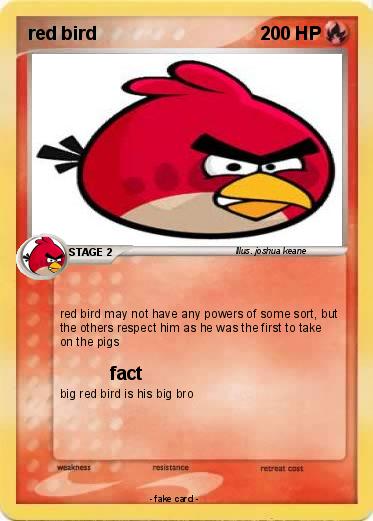Pokemon red bird