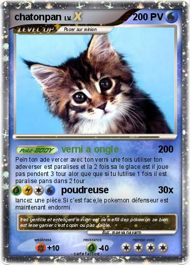Pokemon chatonpan