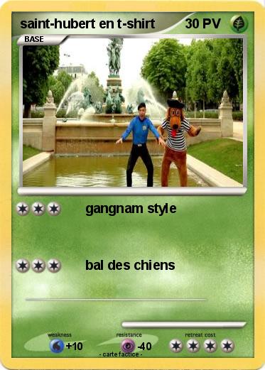 Pokemon saint-hubert en t-shirt