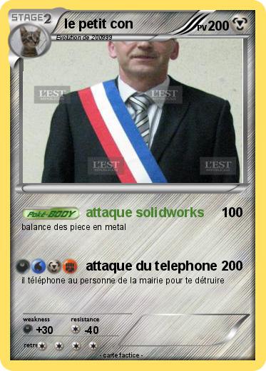 Pokemon le petit con