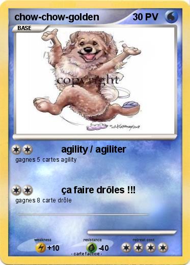 Pokemon chow-chow-golden