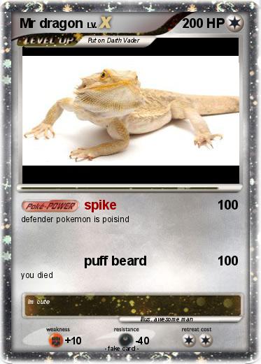 Pokemon Mr dragon