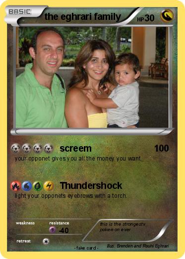 Pokemon the eghrari family