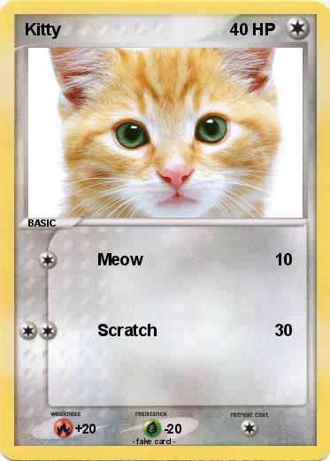 Pokemon Kitty