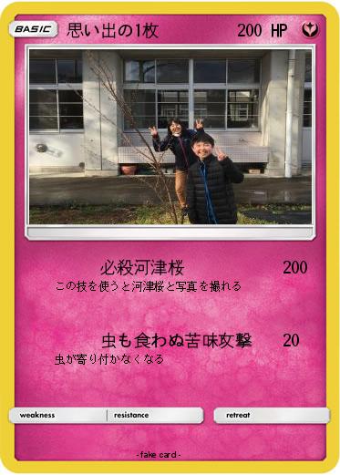 Pokemon 思い出の1枚