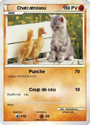Pokemon Chatcatmiaou