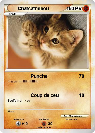 Pokemon Chatcatmiaou
